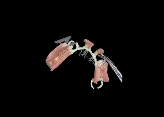 ซื้อ ปักฟันส่วนส่วน HPP แบบเบาและทนทาน online manufacture