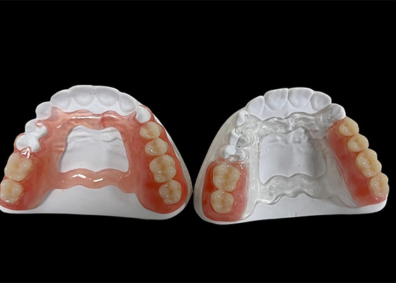 ราคาดี ฟันเทียมถอนได้ส่วนหนึ่ง โปรเทสถอนได้สําหรับเคี้ยวและพูด ออนไลน์